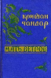 Муби