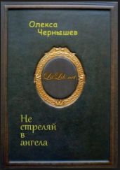 Не стреляй в ангела