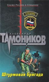 Штурмовая Бригада