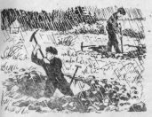 Начальник квадрата 15-85