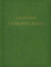 Моллюски - брюхоногие