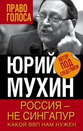 Россия — не Сингапур. Какой ВВП нам нужен