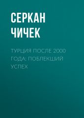 Турция после 2000 года: поблекший успех