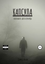 Капсула