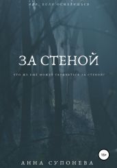За стеной