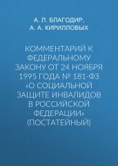 Комментарий к Федеральному закону от 24 ноября 1995 г. № 181-ФЗ «О социальной защите инвалидов в Российской Федерации» (постатейный; издание третье, переработанное и дополненное)