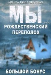 Мы, или Рождественский переполох
