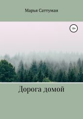 Дорога домой