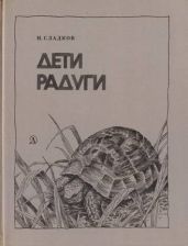 Дети радуги