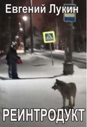 Реинтродукт