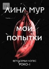 Мои попытки