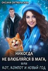 Никогда не влюбляйся в мага, или Кот, компот и Новый год