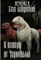 К северу от Чернобыля
